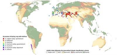 Genome editing to re-domesticate and accelerate use of barley crop wild relatives
